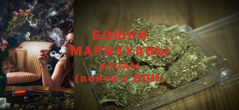 Бошки марихуана THC 21%  мега онион  Бежецк 